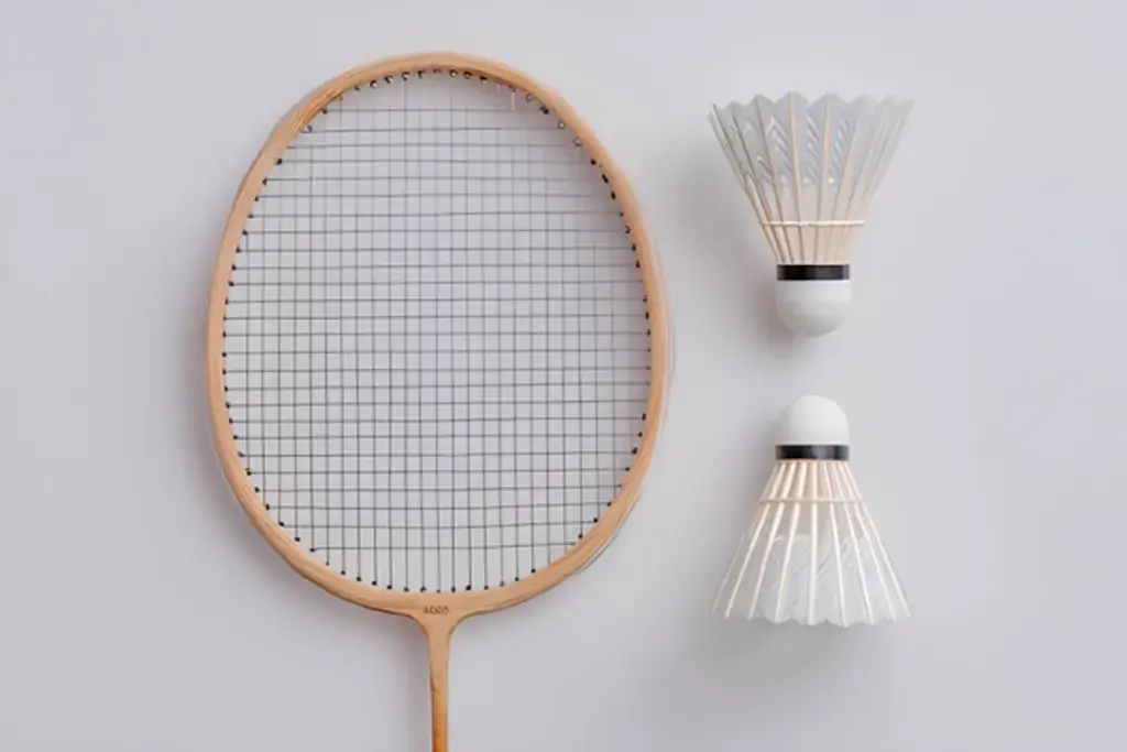 Badminton Gear