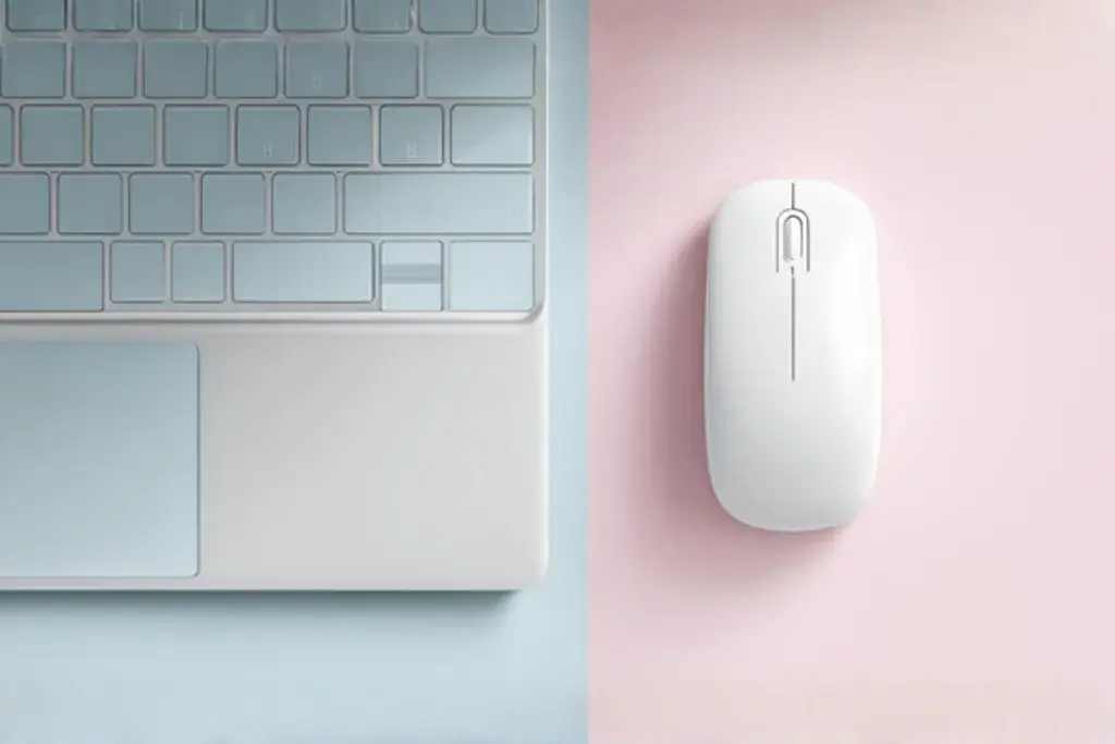 Mouse & Keyboards